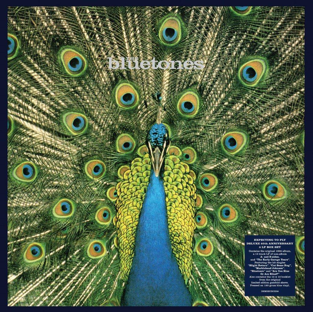 Expecting to Fly - 25th Anniversary Edition