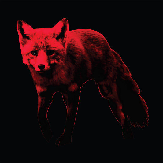 The Day Is My Enemy Remix Album