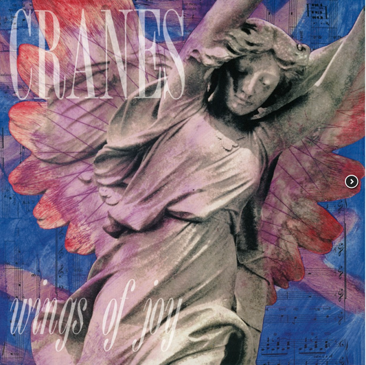 Wings Of Joy