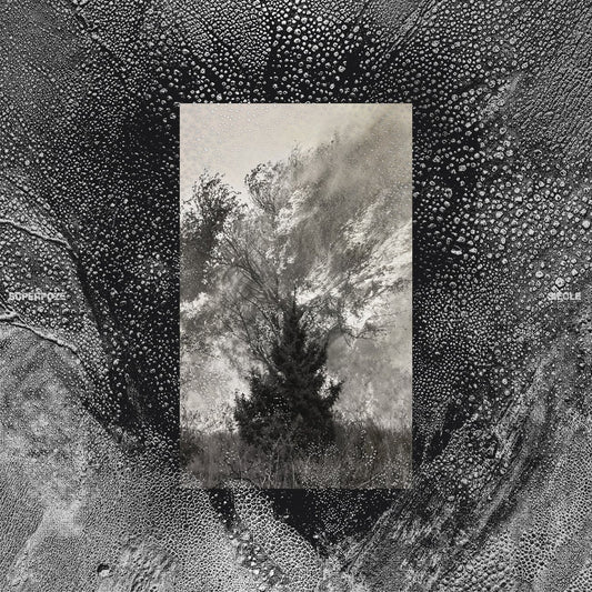 Siécle