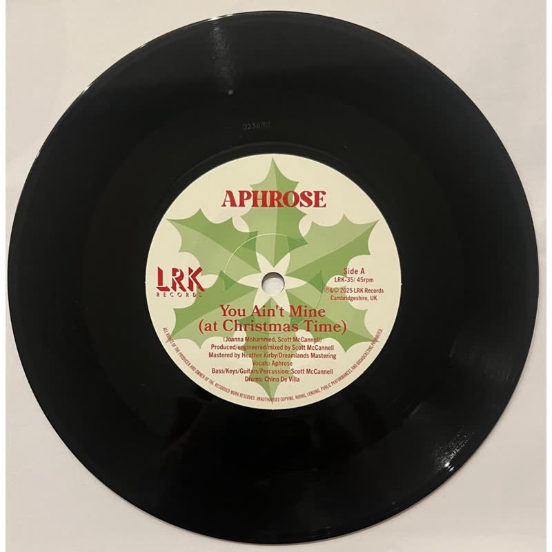 You Ain't Mine (At Christmas Time) / The Other 364