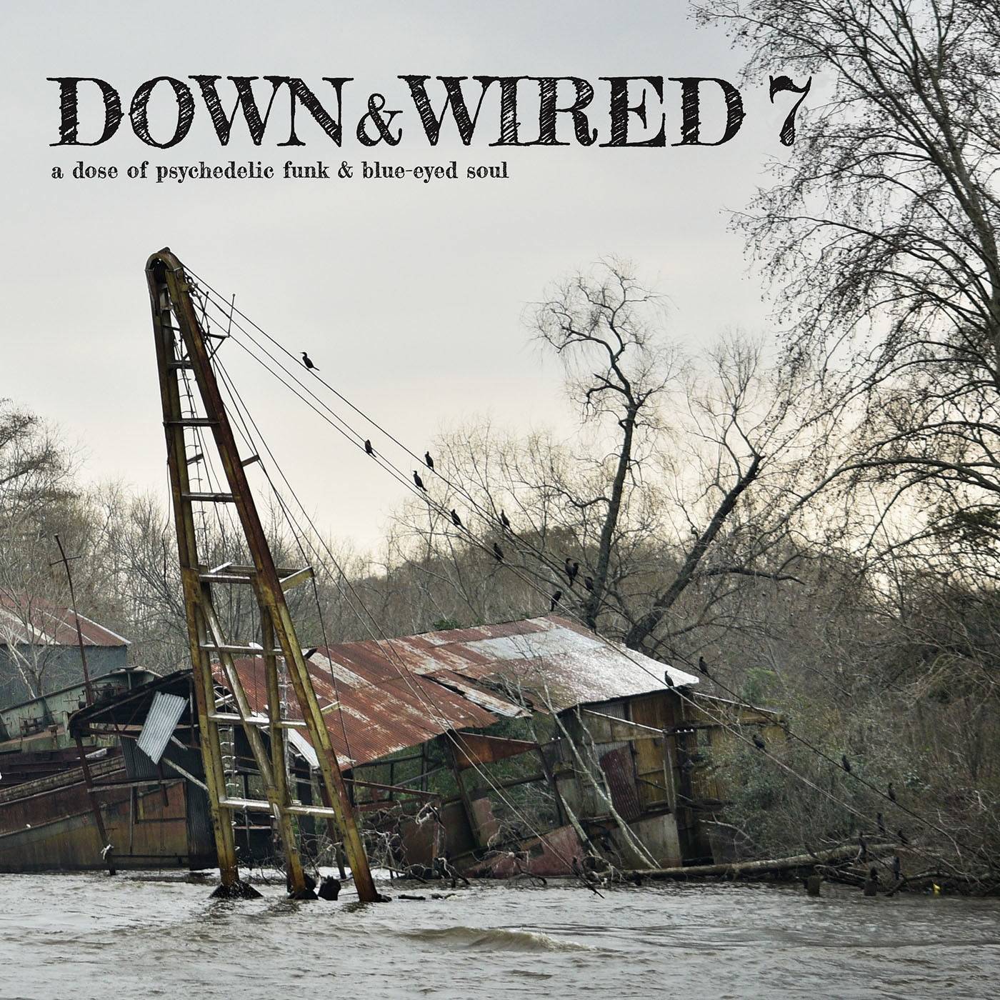 Down And Wired Vol.7