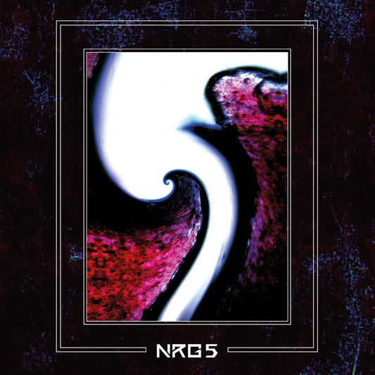 NRG 5 (featuring Oscar Jerome, Charlie Stacey, Kaidi Akinnibi, Rudi Creswick and Magnus Mehta)