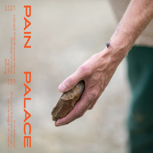 Pain Palace