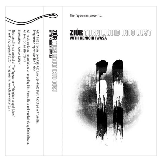 Turn Liquid Into Dust (feat. Kenichi Iwasa)