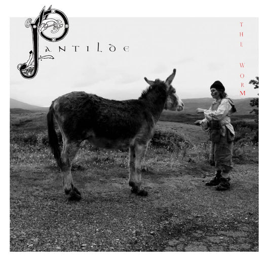 Pantilde