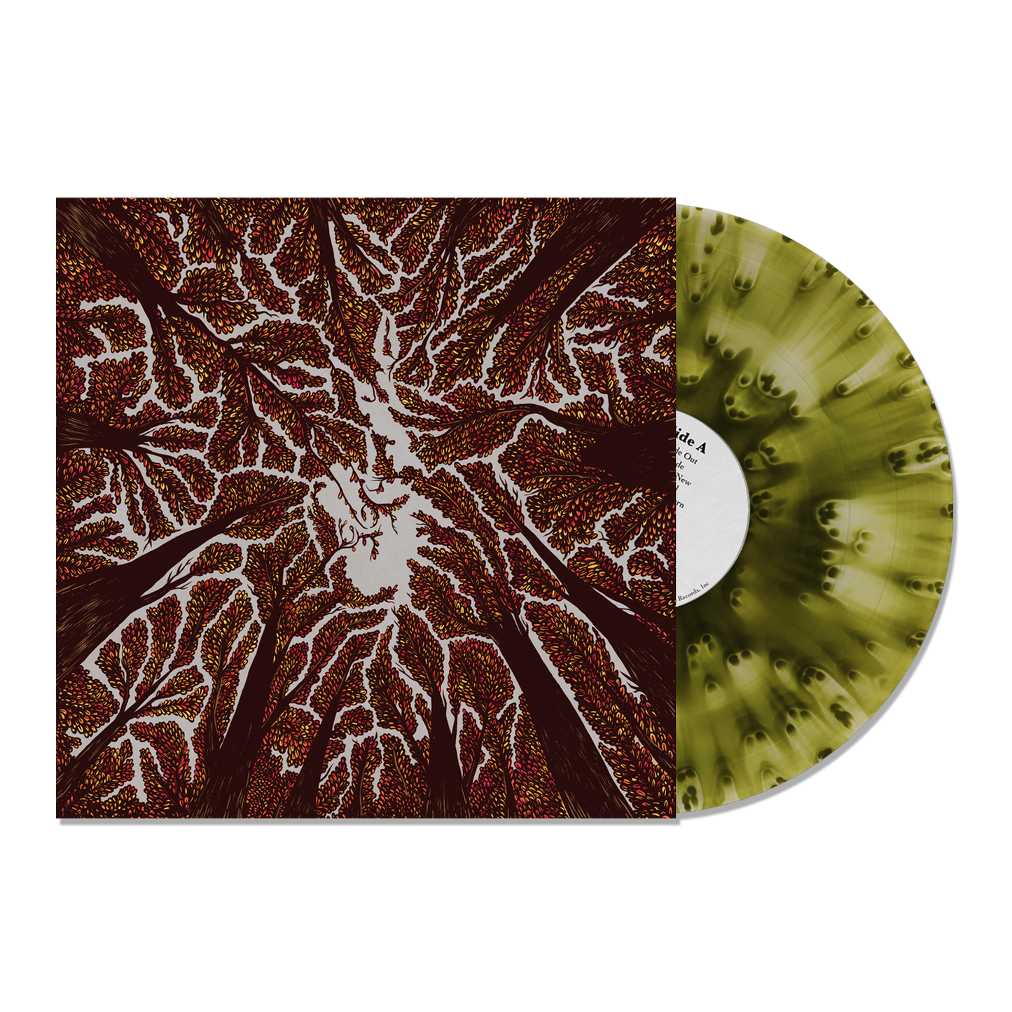 crown shyness - cloudy green.png