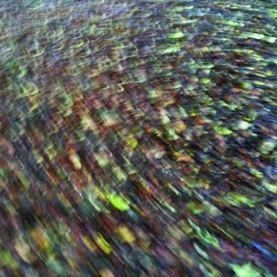 Movement