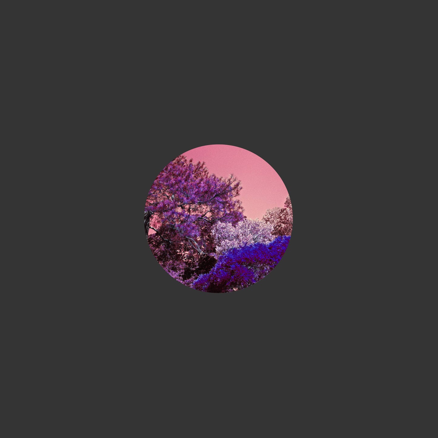 Saudade