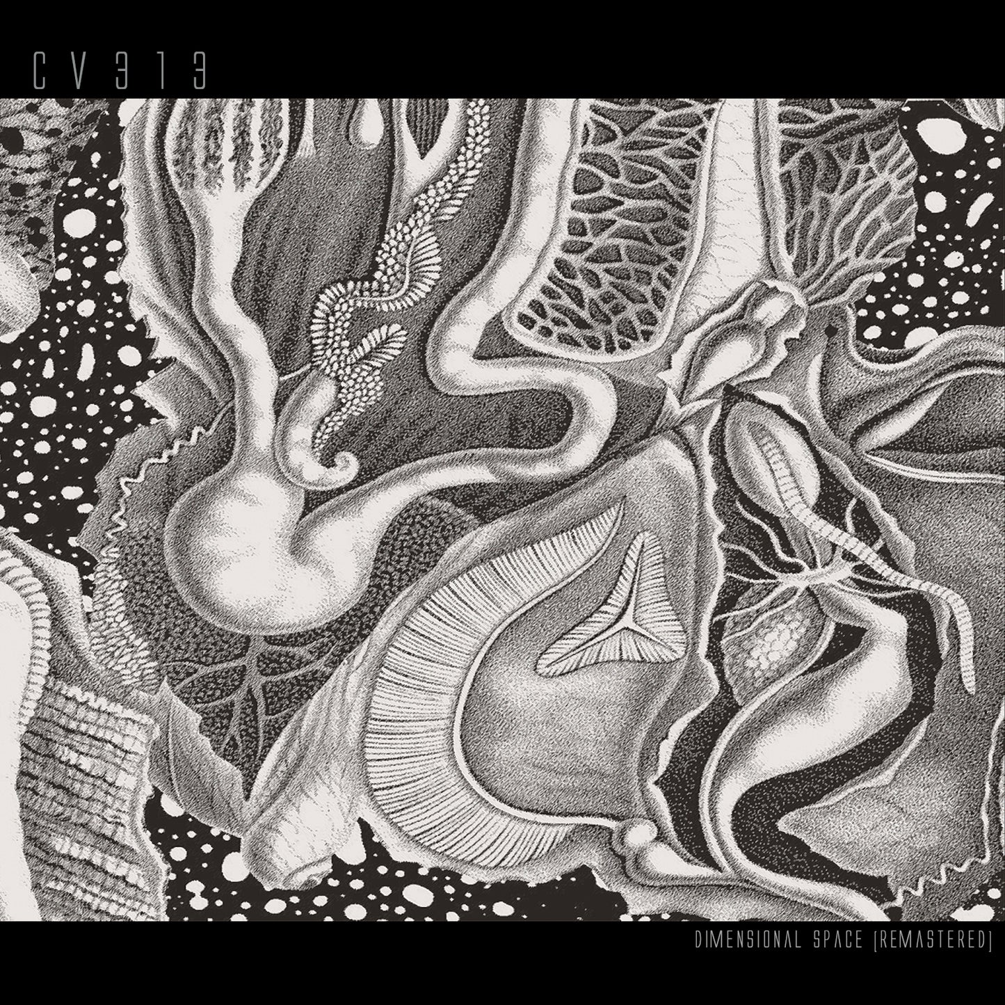 Dimensional Space