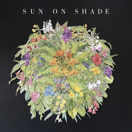 Sun on Shade