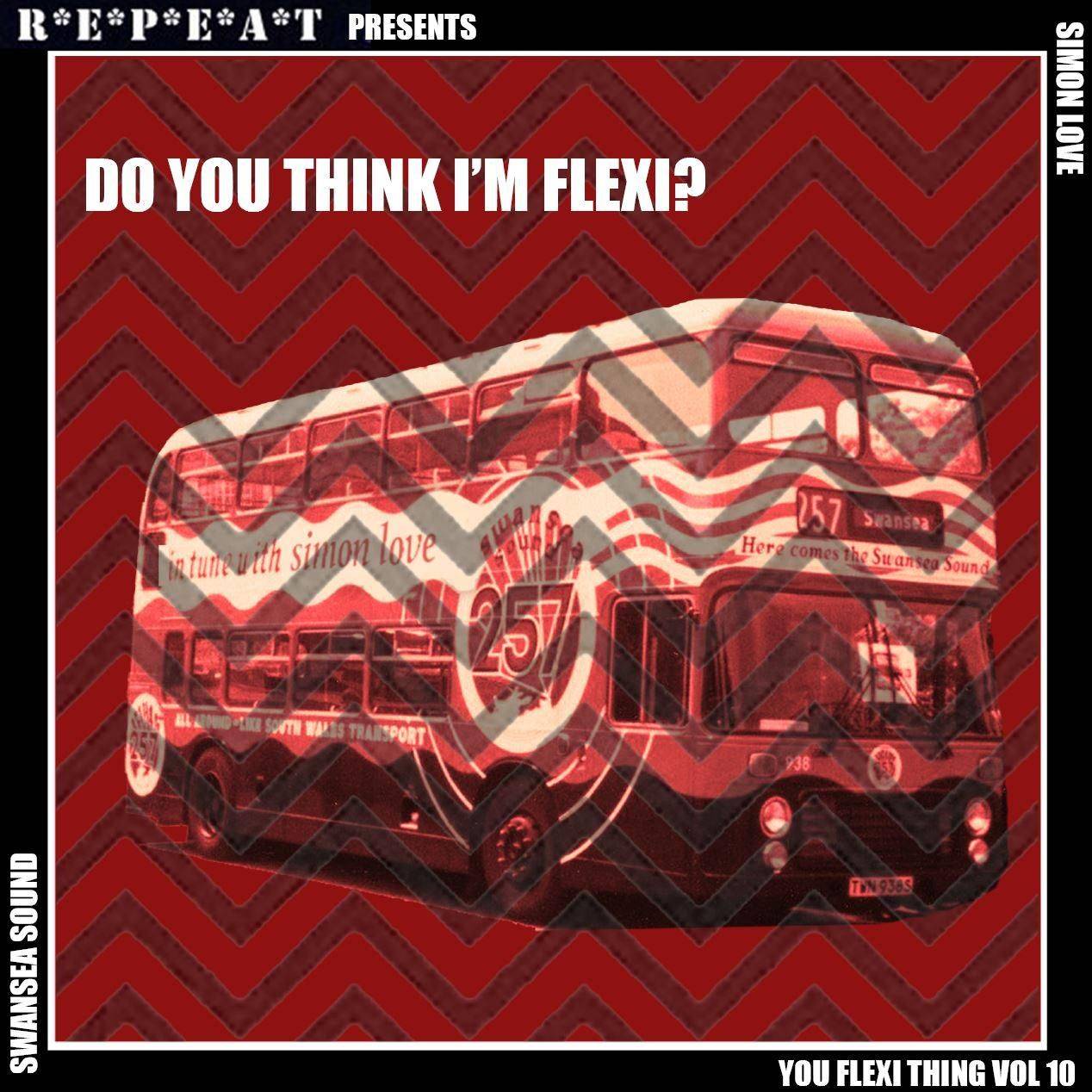 You Flexi Thing Vol.10: Do You Think I'm Flexi? - Swansea Sound / Simon Love