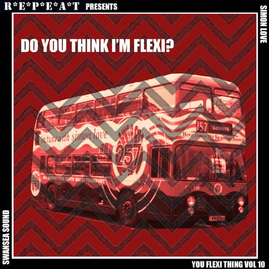 You Flexi Thing Vol.10: Do You Think I'm Flexi? - Swansea Sound / Simon Love