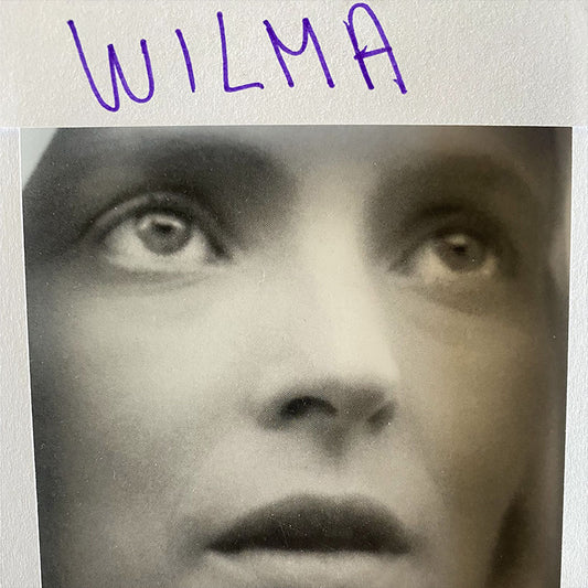 Daniele Luppi – Wilma album cover