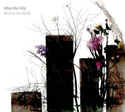 After The City