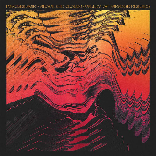 Above The Clouds (Warehouse Preservation Society Remix) / Valley Of Paradise (Bushwacka Remix)