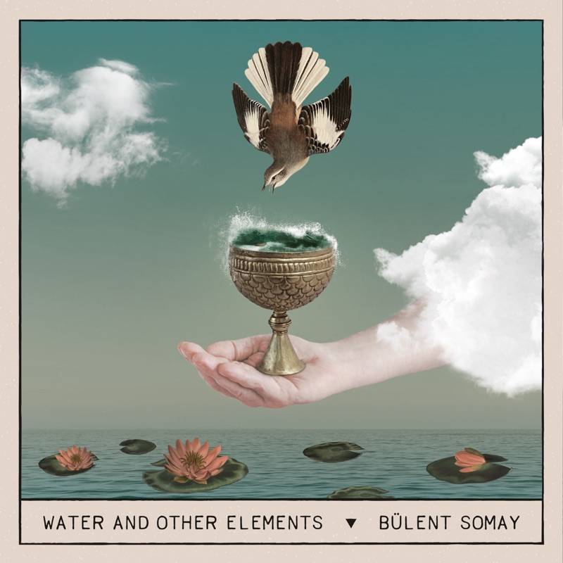 Water and Other Elements