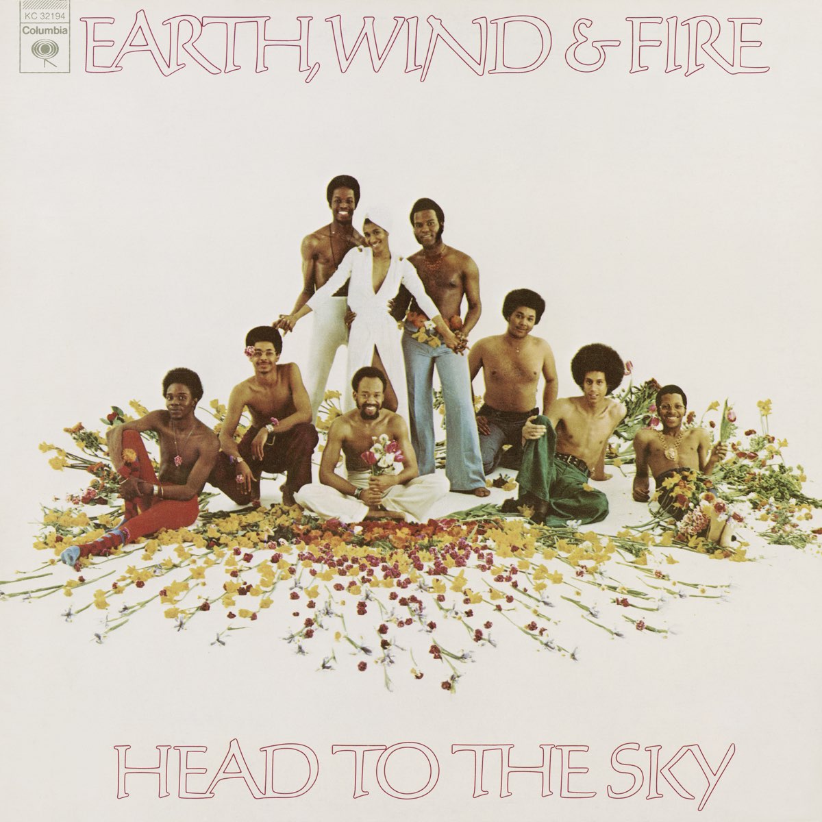 Earth, Wind and Fire - Head to the Sky album cover