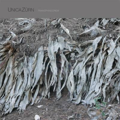 Transpandorem ft Stephen Thrower & David Knight