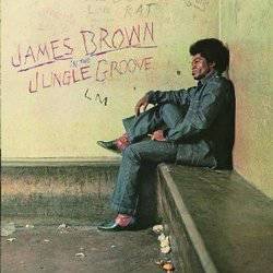 In The Jungle Groove