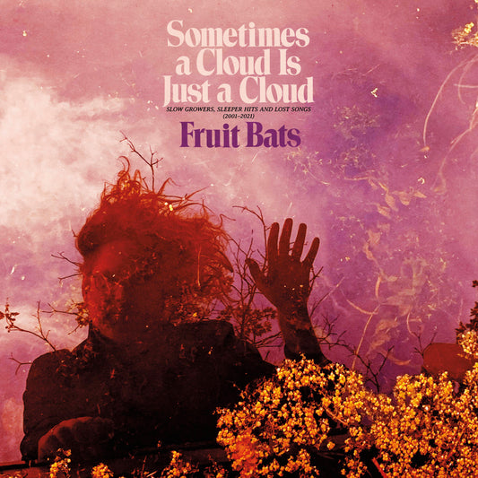 Sometimes a Cloud Is Just a Cloud: Slow Growers, Sleeper Hits and Lost Songs (2001  2021)
