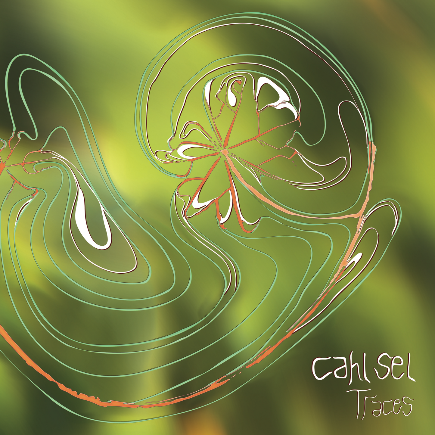 Traces