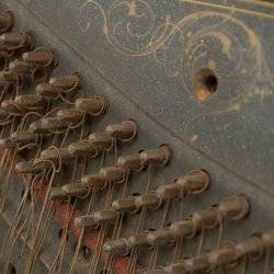 You, You're A History In The Rust