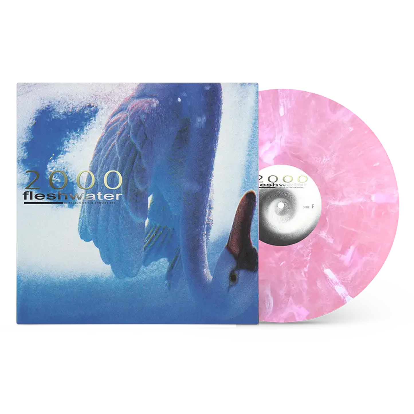 2000: In Search of the Endless Sky