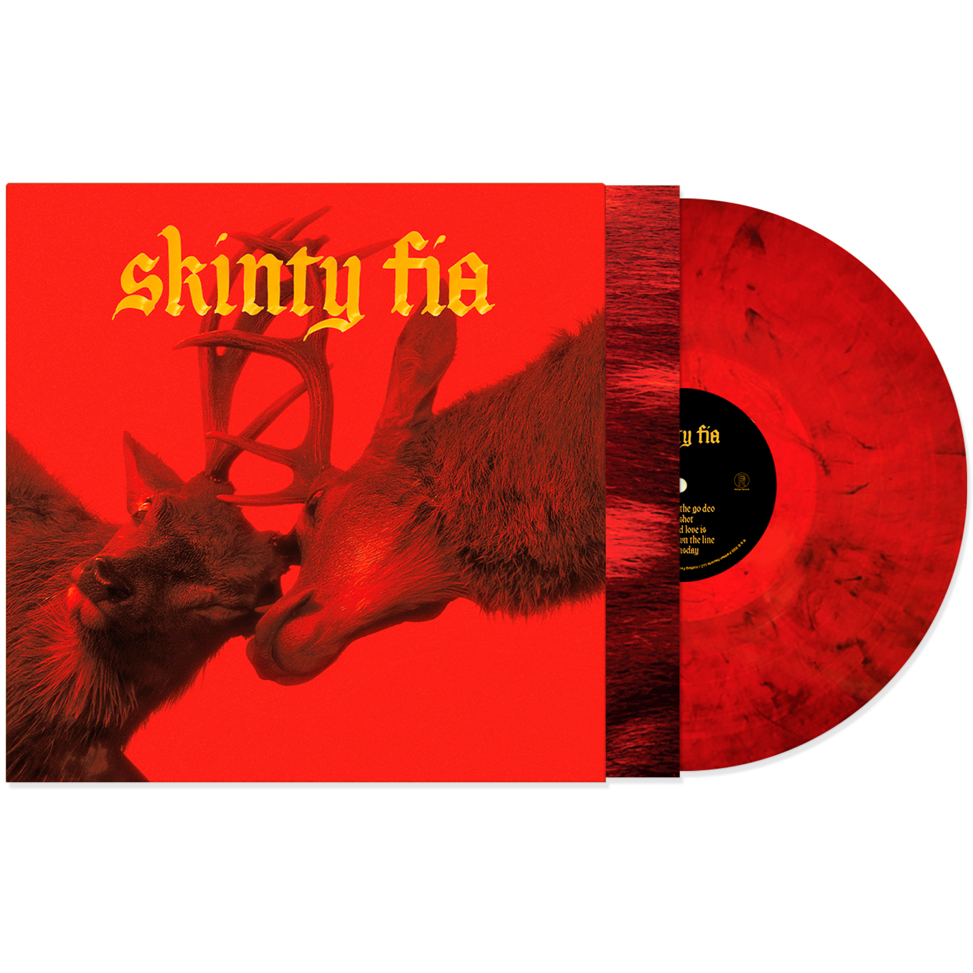 fontaines DC - skinty fia LP+ trans.png