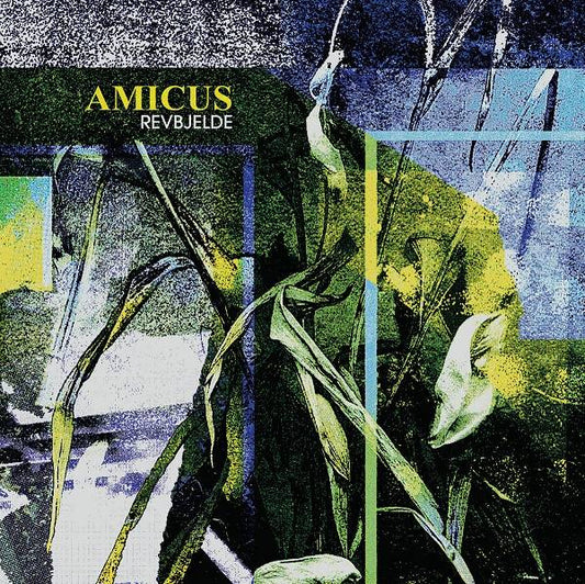 Amicus