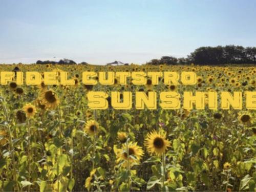 Sunshine