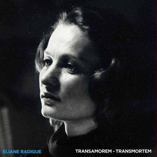 Eliane Radigue - Transamorem - Transmortem Product Image