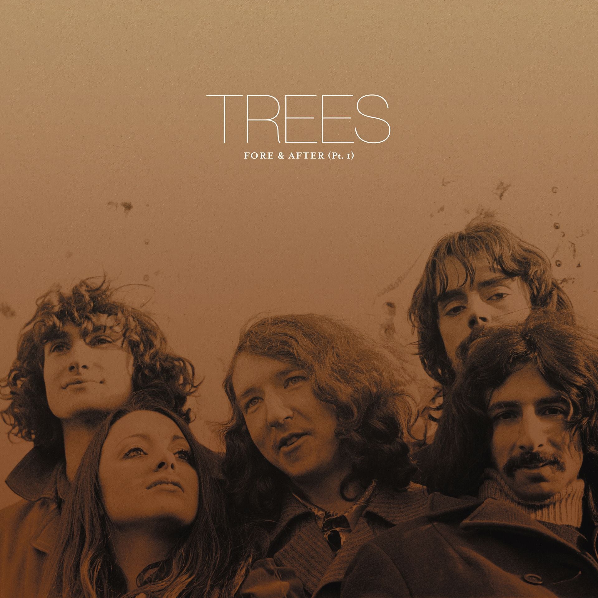 Trees - Fore and After Product Image