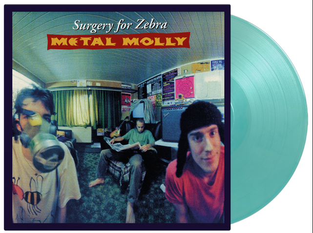 Surgery For Zebra