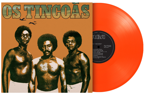 Os Tincoas