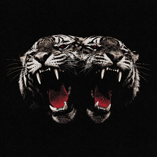 Dead Company