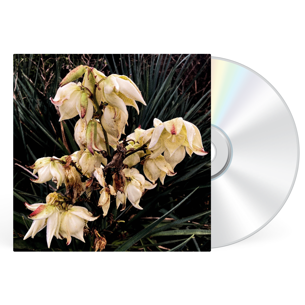 CD artwork