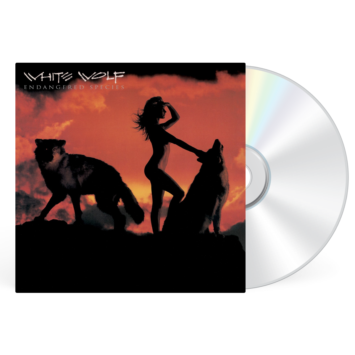 CD artwork