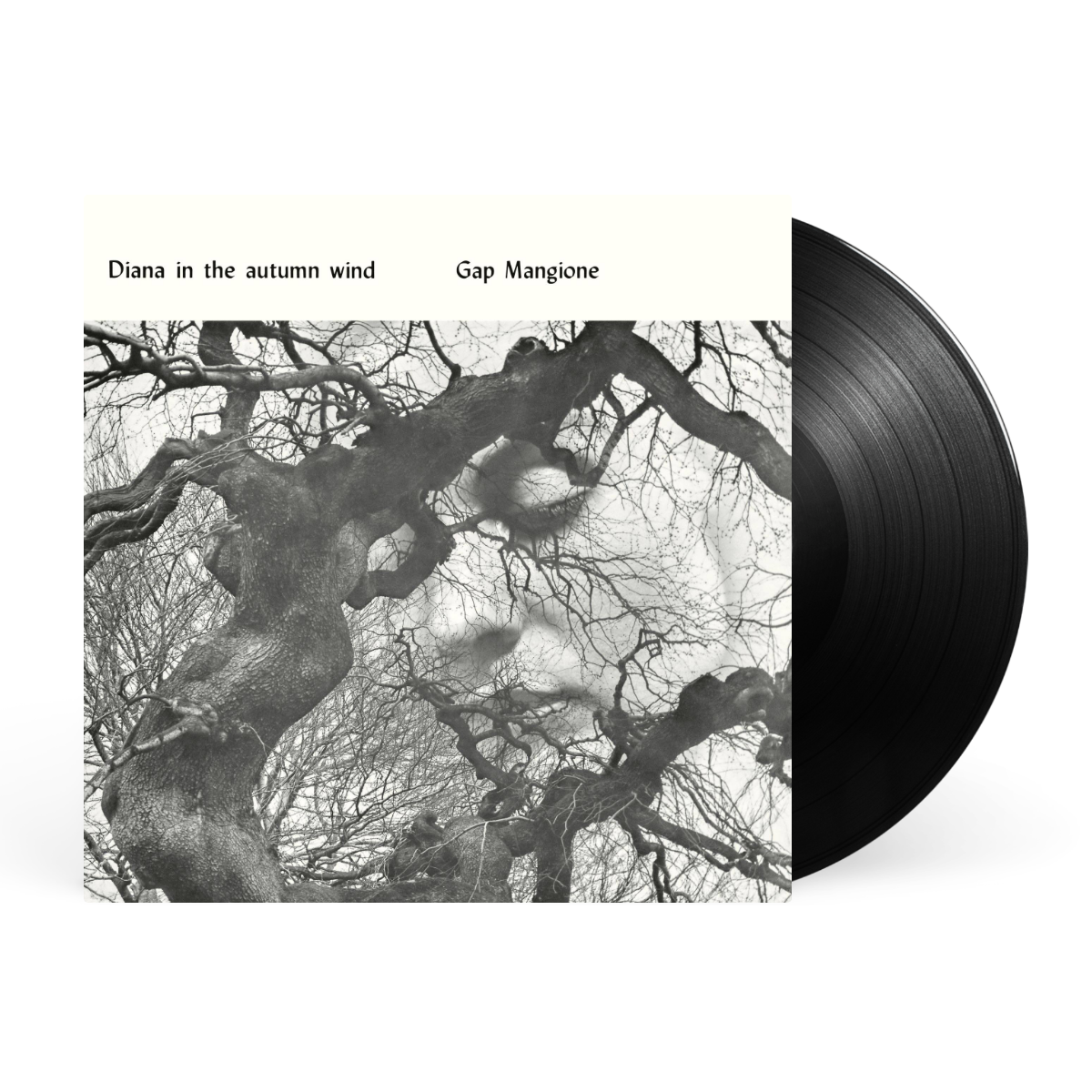 LP - Black artwork