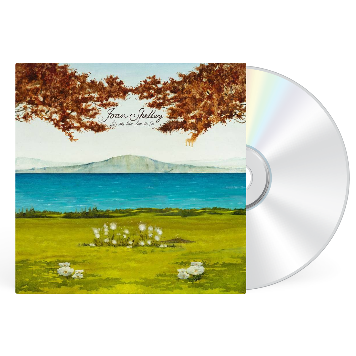 CD artwork