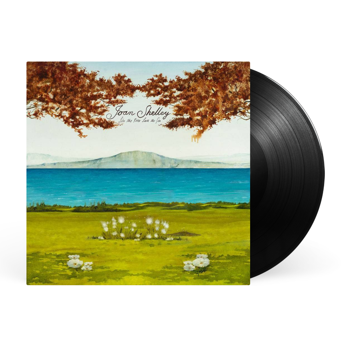 LP artwork