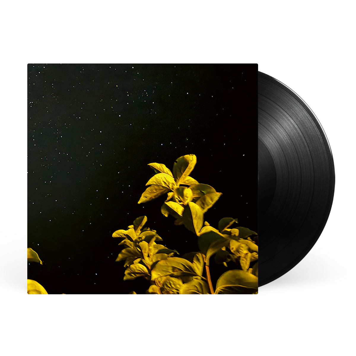 LP - Black artwork