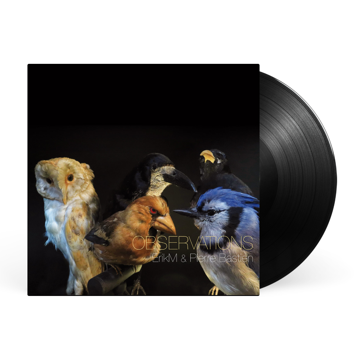 LP - Black artwork
