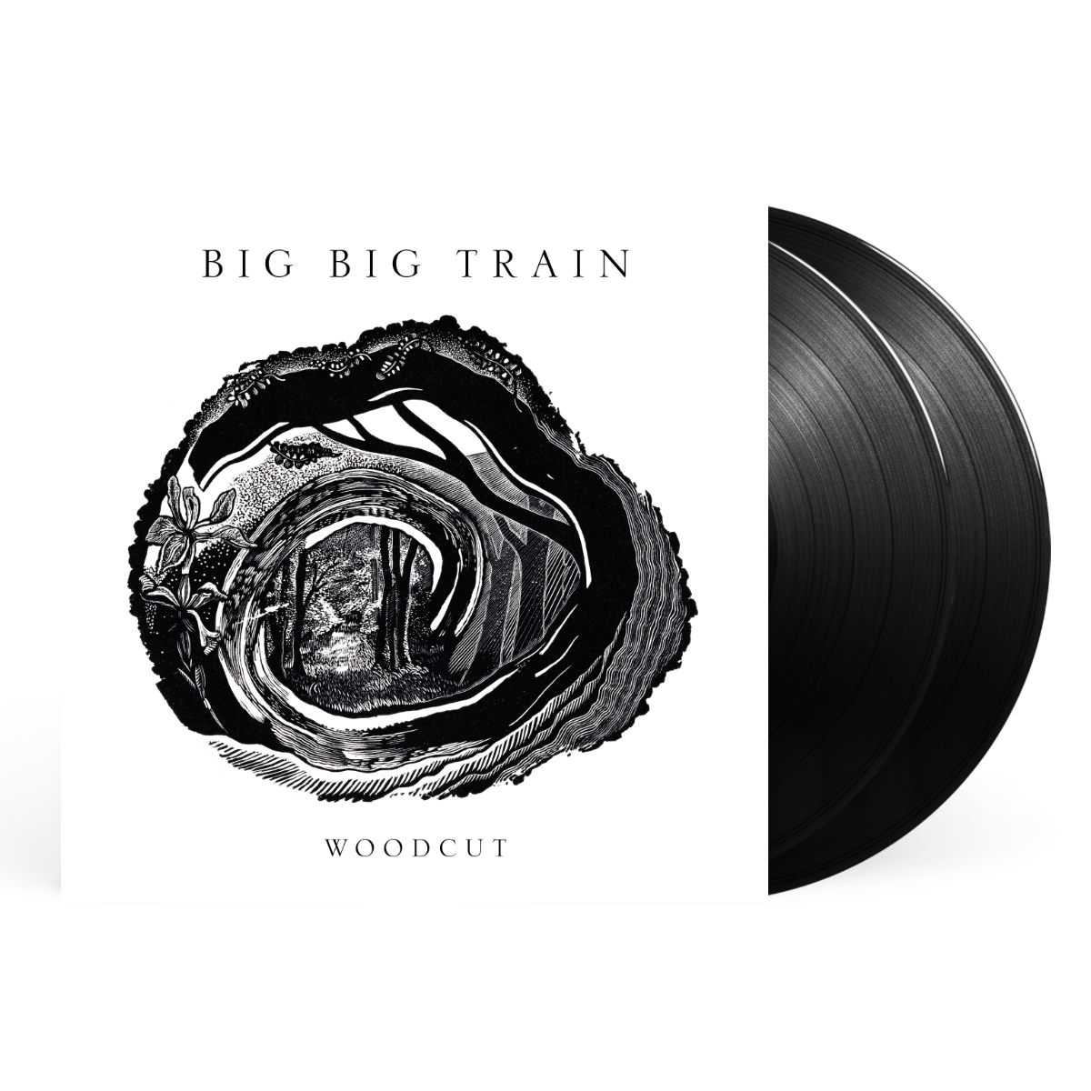 2LP - Black artwork