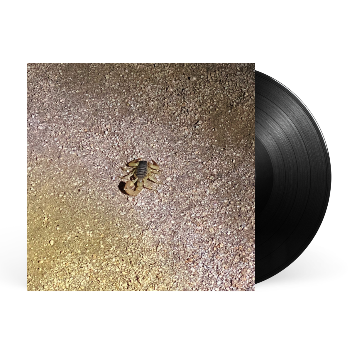 LP - Black artwork