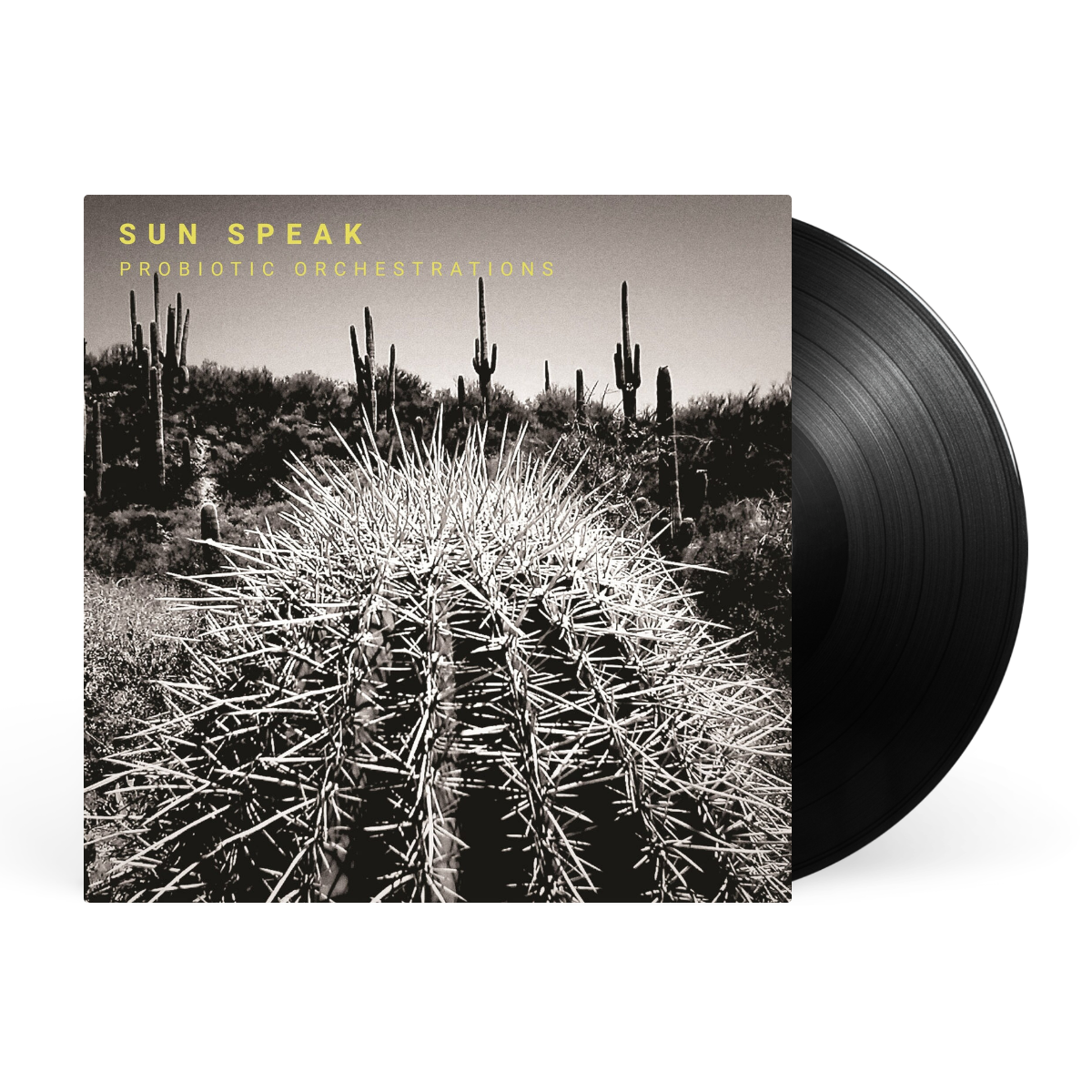 LP - Black artwork