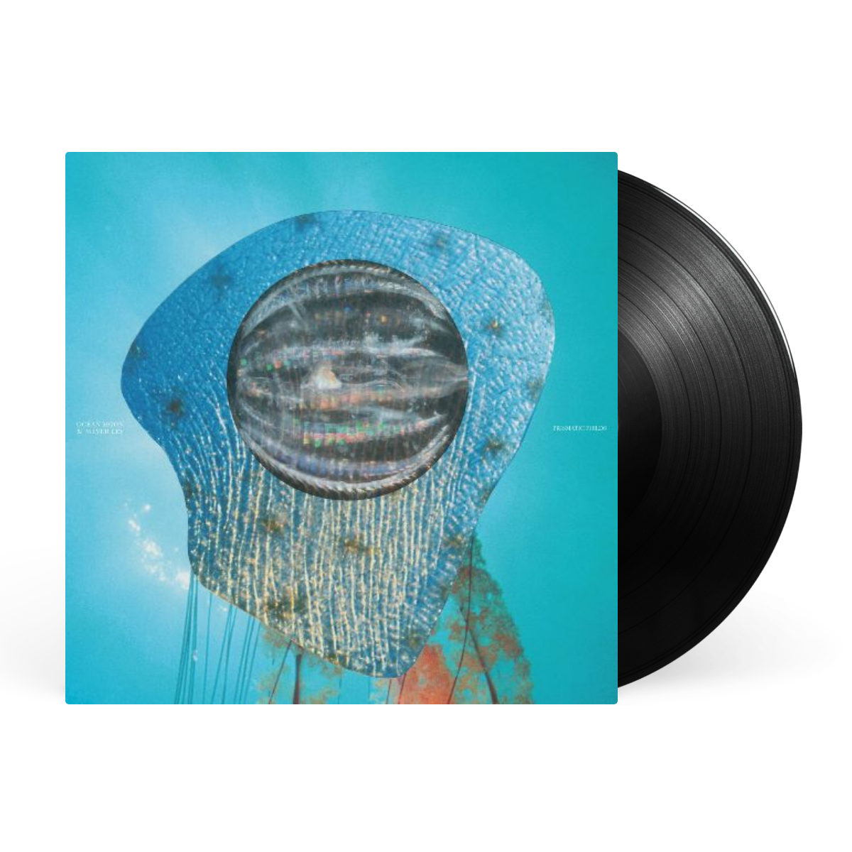 LP - Black artwork