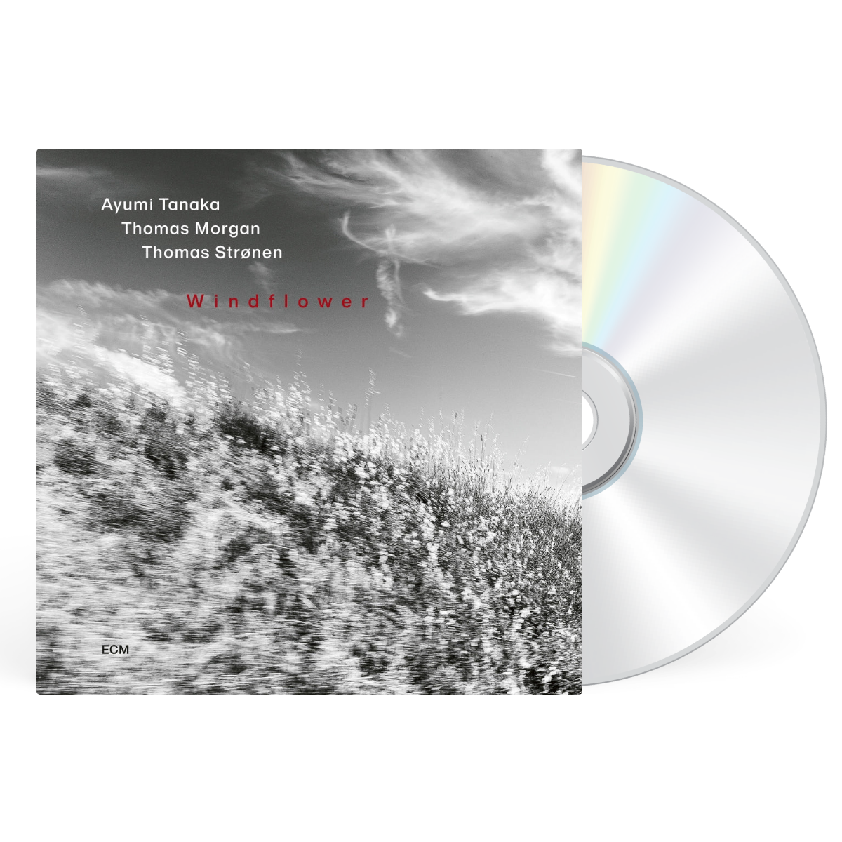 CD artwork