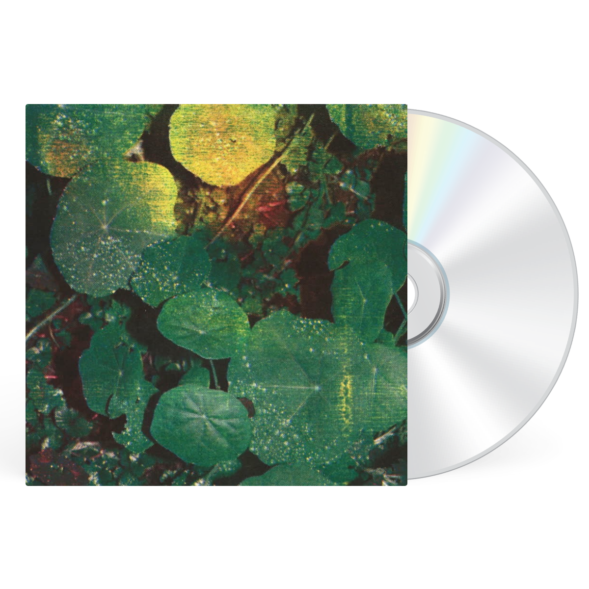 CD artwork