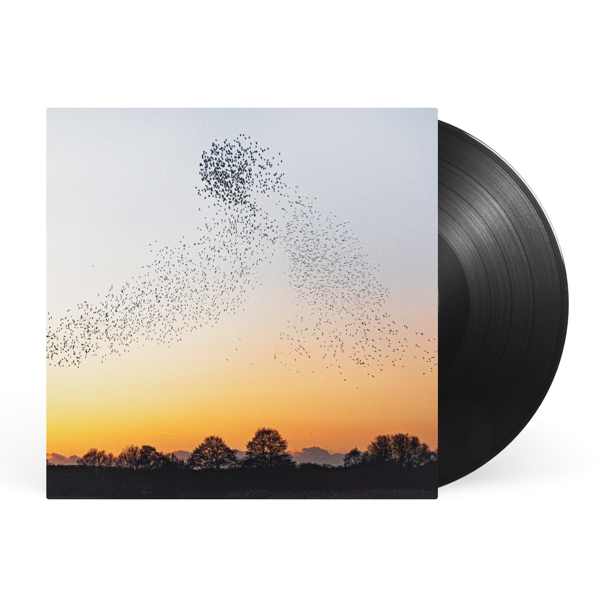 LP - Black artwork